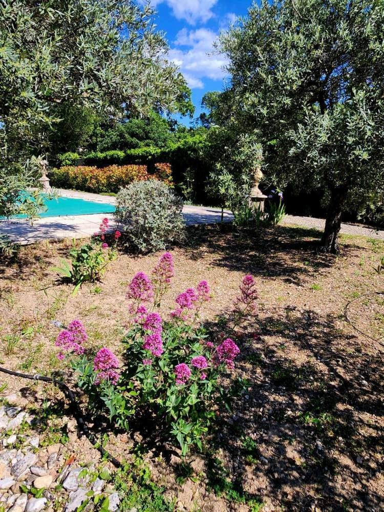 Le Clos Renaissance Oppède Buitenkant foto